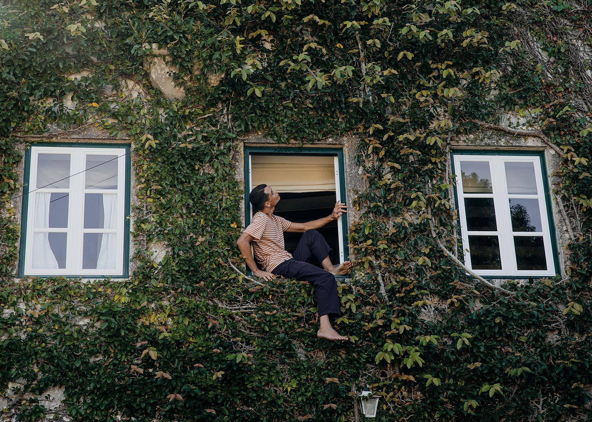 zündstoff-freiburg-dedicated-brand Mann mit Kleidung von Dedicated sitzt auf einer Fensterbank und schaut an der mit Wein bewachsenen Hausfassade nach oben
